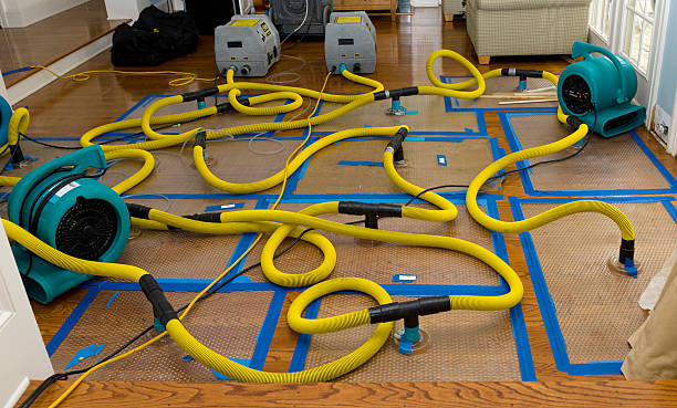 Professional Basement Flood Cleanup technician working in Washington, NC